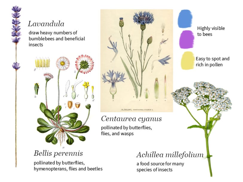 01. Designing for insects with technology in mind — Planetary Optimist